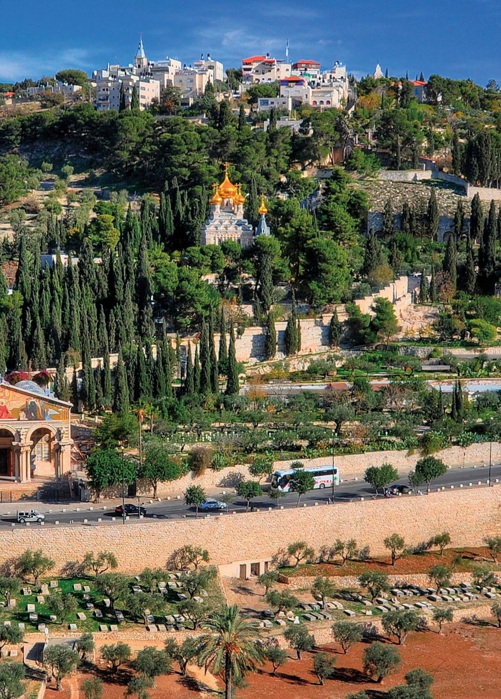 The Mount of Olives in Jerusalem, with olive trees and churches on its slope
